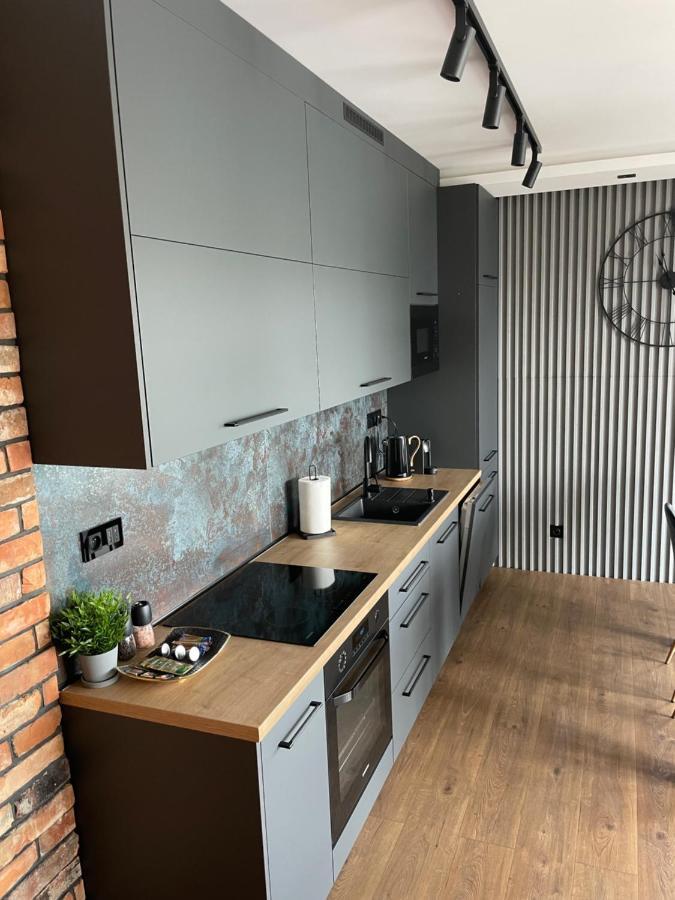 Apartament Grey Love W Czeladzi, Fv, 8Km Do Katowic Ngoại thất bức ảnh
